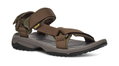 Teva Sandale Terra Fi Lite (wasserbeständig, robust, schnelltrocknend) olivegrün Herren